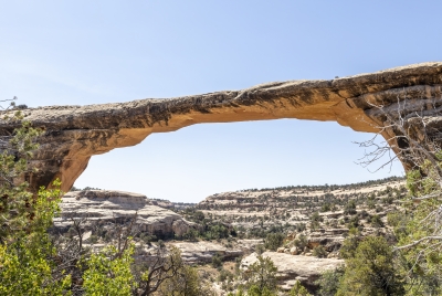 Natural Bridges Preserve June 2025